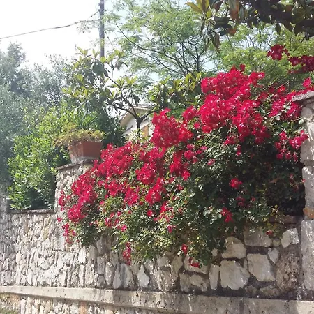 Lilium House Arce בית נופש