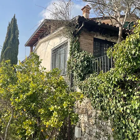 Lilium House Arce