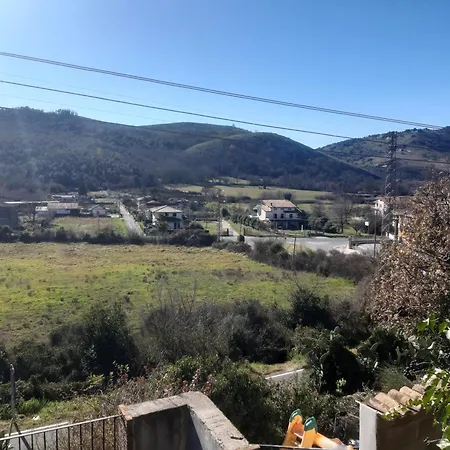 Lilium House Arce